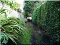 Footpath in Harwood