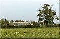 Farmland near Hose