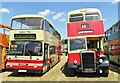SU7240 : Alton Bus Rally 2018 - Brighton & Hove by Colin Smith