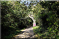 Road bridge crossing the Rodwell Trail