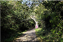 SY6777 : Road bridge crossing the Rodwell Trail by John Lucas