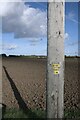 TF4984 : A pole with a name by Bob Harvey