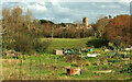 Allotments by the River Bride