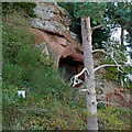 SO8074 : Outcrop and Cave at Devil's Spittleful near Bewdley by Roger  Kidd