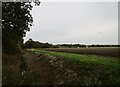 Drain and flat field near Moorside Farm