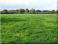 Farmland near Crabbe Farm