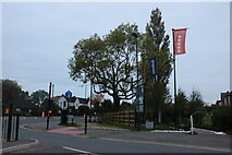 SP3892 : Greendale Road at the junction of Hinckley Road by David Howard