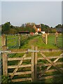 Track leading to Dove Farm