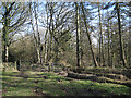 SP0167 : Gates into Foxlydiate Wood, Redditch by Robin Stott