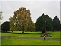 SK1139 : Churchyard cross at the Church of St Michael by Graham Hogg