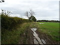 Muddy farm track off Long Lane