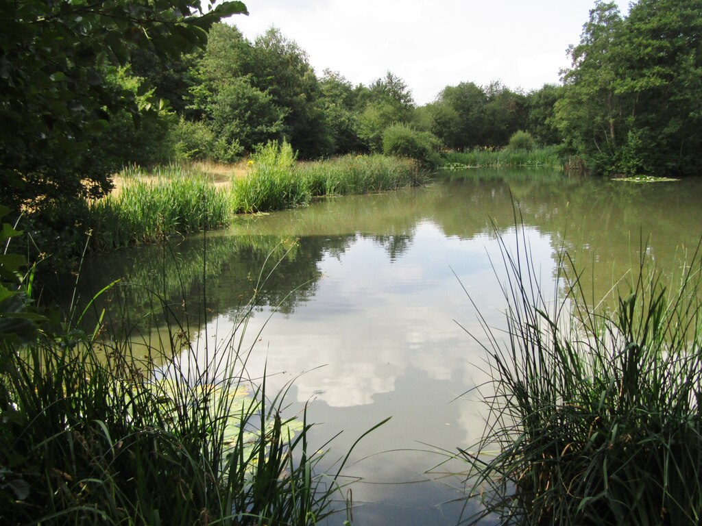 Brookwood Pond © Colin Smith cc-by-sa/2.0 :: Geograph Britain and Ireland