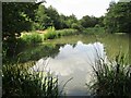 Brookwood Pond