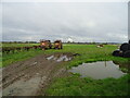 Grazing and farm machinery near Low Park Farm