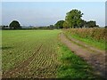SO9143 : Farmland track by Philip Halling