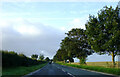 A61 towards Ripon