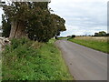 Minor road from Hutton Conyers towards the A61