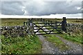 Greenhow: Double gates leading to a long, winding track