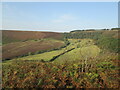 SE8493 : Hole  of  Horcum  looking  north  to  Saltergate  Bank  Top by Martin Dawes