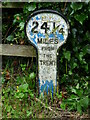 SK8037 : Grantham Canal Milestone 21¼ by Mike W Hallett