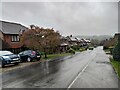 Glenleigh Walk in heavy rain