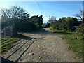 Country lane near Nanterrow Cottage