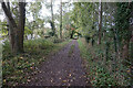 Thames Path towards Shillingford