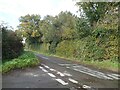 A mixture of plants forming a hedge at Waye Cross