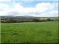 Field near West Withecombe and view to Cosden on Dartmoor