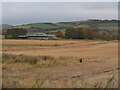 Fields around Blackburn farm