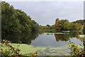 Lake in Woodland below Rivers Hall