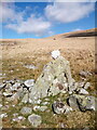 SH6468 : Rock with a quartz nodule on top, Llanllechid by Meirion