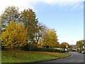 SD7411 : Autumnal shades on Hardy Mill Road by Philip Platt