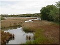 SZ5091 : Dodnor Creek nature reserve, near Newport by Malc McDonald