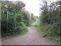 Shared path near Cowes