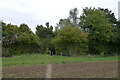 The Essex Way approaching the footbridge over Roman River