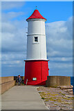 NU0152 : Berwick-Upon-Tweed : Berwick Lighthouse by Lewis Clarke