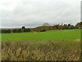 Driving range at Bradford golf club