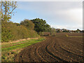 TQ5889 : Tilled field near Codham Hall, Great Warley by Roger Jones
