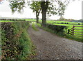 Track to Rangeway Bank Farm