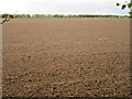 Newly-ploughed field