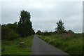 Bench beside the path