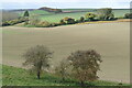 SU0626 : Dry valley on Flamstone Farm by David Martin