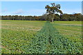 Straight bridleway across field near Flamstone Farm