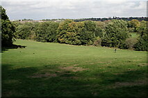 TQ3870 : Beckenham Place Park by Peter Trimming