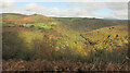 Dart valley from Holne Moor Leat