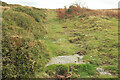SX6771 : Bridleway by Holne Moor Leat by Derek Harper
