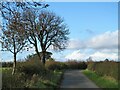 Lane heading west from Deighton