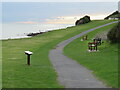 SZ5577 : Path on the Undercliff, Ventnor by Malc McDonald