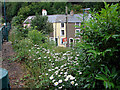 Terraced housing in Penhelig